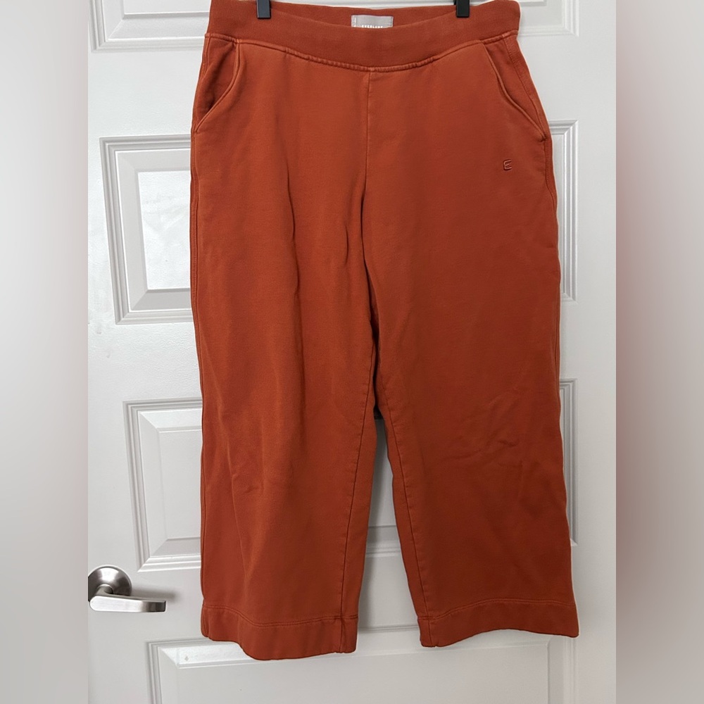 Everlane Rust Orange Sweatpants
